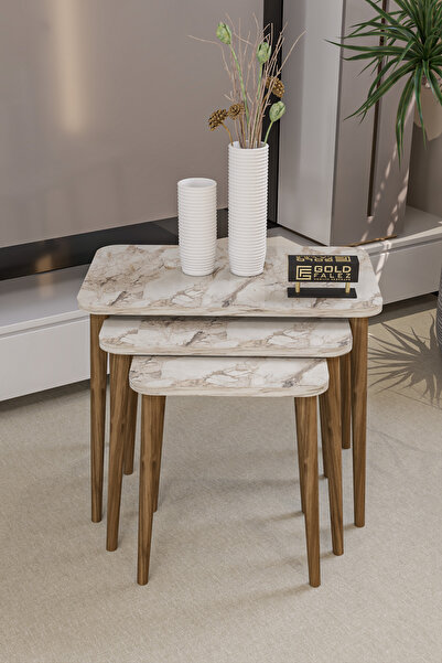 GOLDFALEZ Zigon Sehpa Ahşap KR Torna Ayak Efes