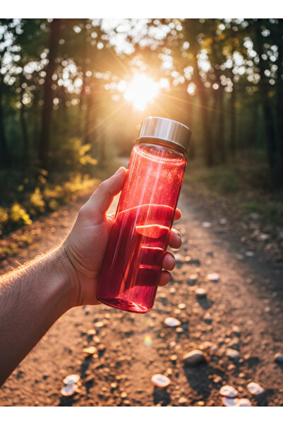 Blissra Glass Flask 550 Cc – Premium Lid, Healthy and Stylish Design