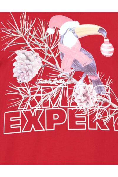 Jack & Jones МЪЖКА ТЕНИСКА JACK JONES 12198774-SAGE