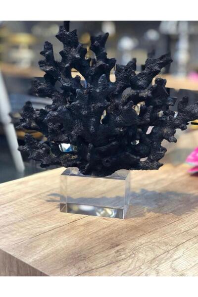 Mirsa Global Krıstal Kaideli Mercan Siyah Renk