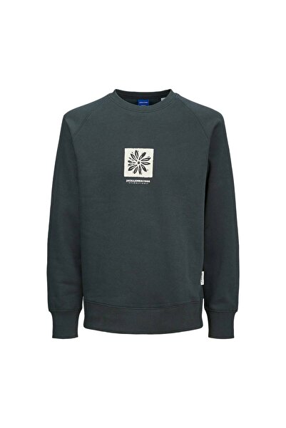 Jack & Jones Portland Erkek Yeşil Sweatshirt (12262958-FRR)