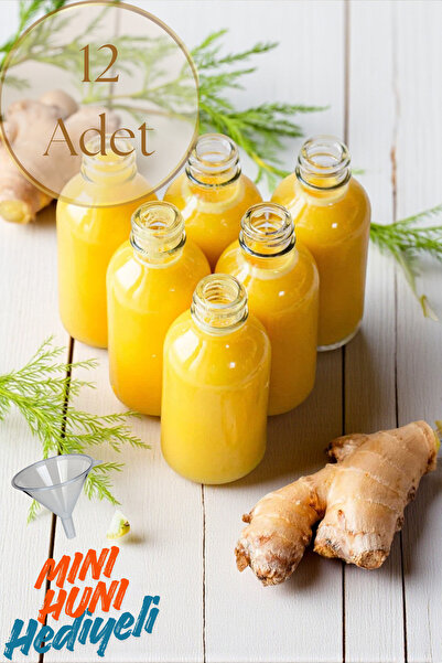 EG75 12 Adet Ginger Shot Şişesi Şeffaf Cam Shot Şişesi 50ml. Sızdırmaz Plastik Kapaklı (Huni Hediyeli)