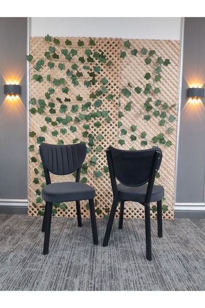 MEDA CONCEPT Elma Mutfak Sandalyesi Yemek Odası Bahçe Balkon Otel Restoran Kafe Sandalyesi 1 Adet