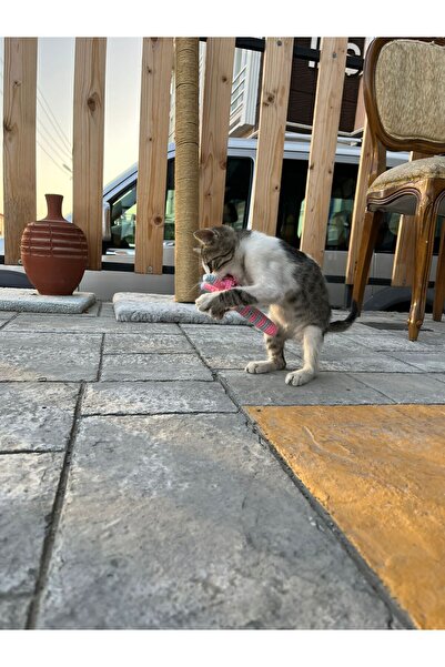 Be Cat Catnip Cat & Dog Teeth Scratching Toy & Pet Stress and Biting Toy