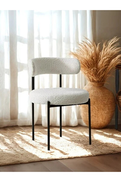 Teddyy Hardy 2 Adet Mutfak, Balkon, Salon Sandalyesi