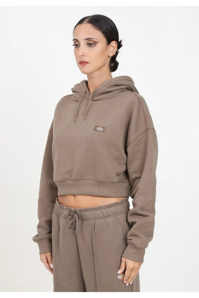 Dickies Ανδρικό μπλε φούτερ cdnv01