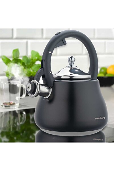 Other CZAJNIK STALOWY Z GWIZDKIEM 2,8L KLAUSBERG KB-7918