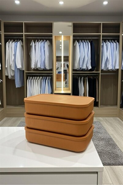 Bayev Colors Orange 3 Pieces 6.8 Lt Closet Organizer Organizer Toy Box Storage Box with Lid