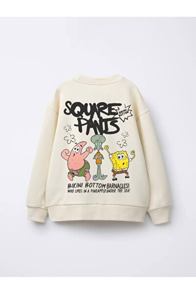 Daisy Dolly Boy's 3 Thread Non-Shardon Cotton Printed Sweatshirt