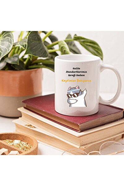 Çılgıntrend Funny Cat-Themed Coffee Mug – We Look to Our Pleasure Designed Gift Mug