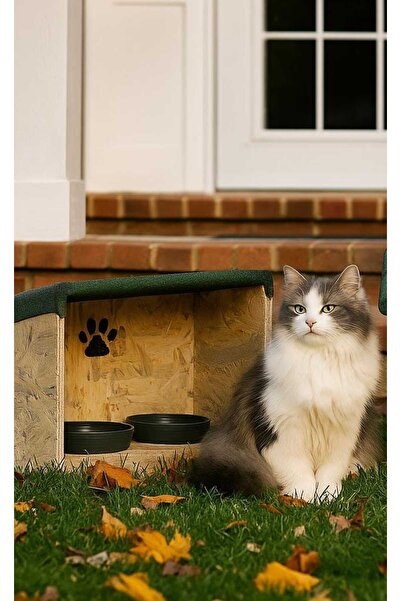 DivanAhşap Kedi Mama Ve Su Kabı Standı 2'li Doğal Ahşap Yağmur Geçirmez Membr...