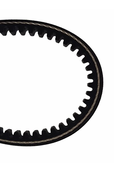 elefant Cultivator cu curea de transmisie 17 x 864