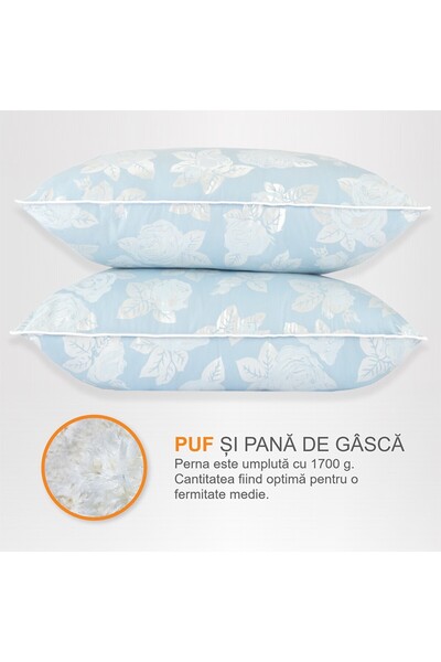 Pernador Set de 2 perne cu puf si pana de gasca, 70x70 cm, Albastru cu trandafiri argintii