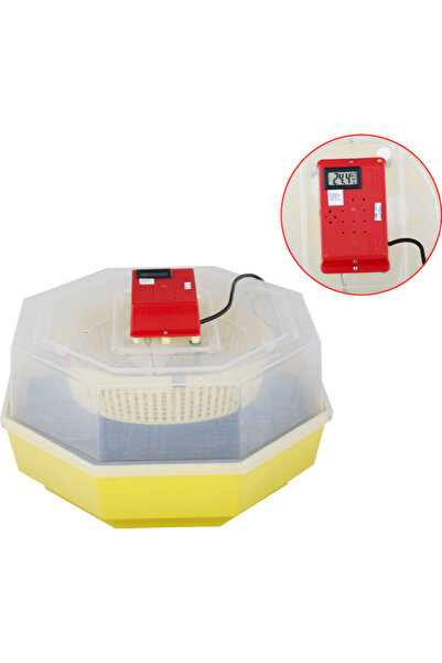 OEM Cleo-5 Electric Incubator with Thermohygrometer