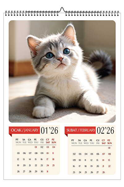 GenelTedarik 2026 KEDİ GÖRSELLER 6 SAYFA A3 DUVAR TAKVİMİ-ÜSTTEN SPİRALLİ VE ASKILI