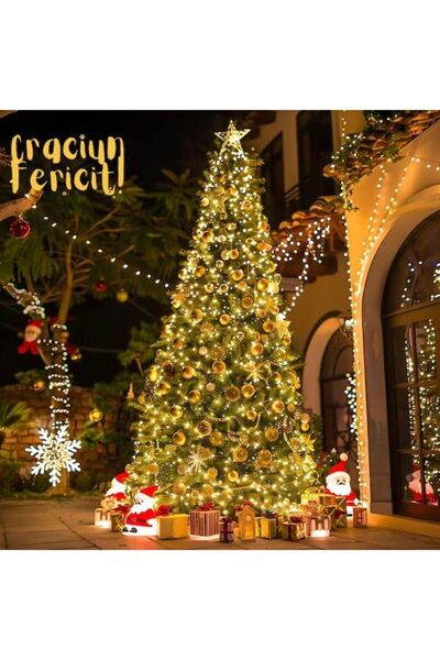 OEM Christmas Installation 100