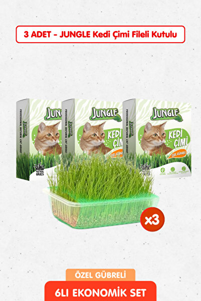 Jungle 3 Adet Özel Gübreli %100 Doğal Kedi Çimi Fileli ve Kutulu Tüy Yumağı Ö...