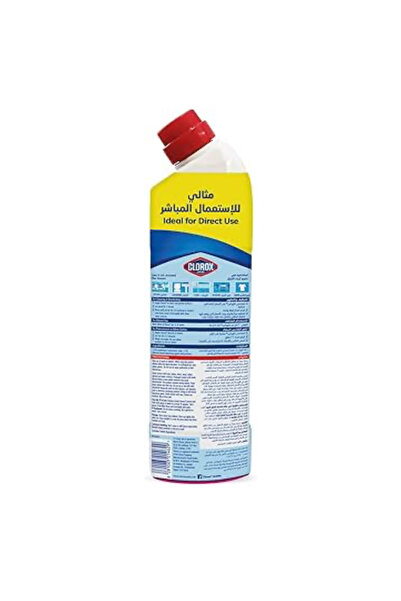 Clorox Bleach Gel and Cleaner, 750ml, Floral Magic