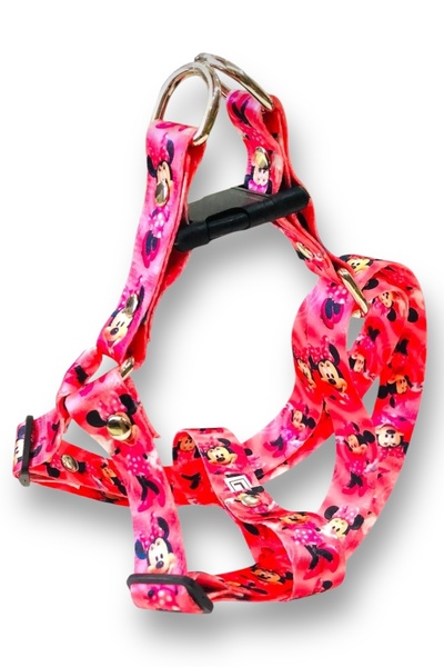 Angelapets Kıyafetli Göğüs Tasması ve Gezdirme Kayışı Seti