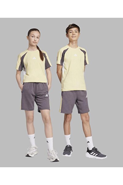 adidas شورتات ألوان أساسية موسمية - رمادي ستراتا/أصفر بودرة