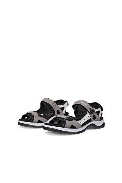 Ecco Offroad Titanium