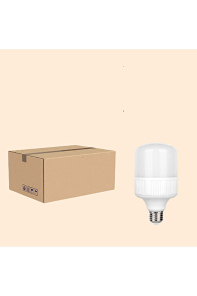 HAMER Carton of 10 30W LED bulbs