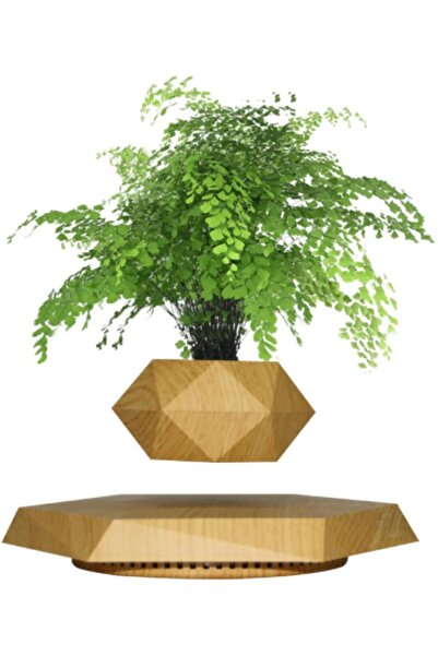 Fipka Zgsalvation Magnetic Levitating Flower Pot, Negative Ion Geometry Floating Plant, for Home Office De