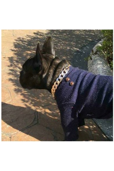 Other DOG COLLAR GOLD PLATED CHAIN ​​SIZE M 36-43CM