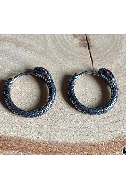Viking Snake Design Red Stone Hoop Threadable 316L Stainless & Tarnish-Free Steel Earrings Pair