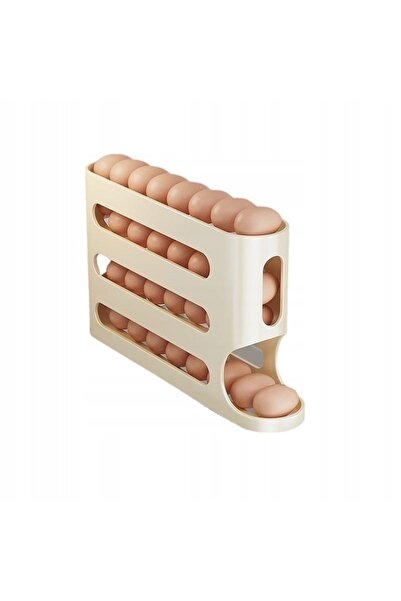 Other EGG rack for the FRIDGE FOR STORING EGGS for 30 PIECES Organizer