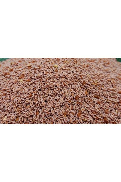 Natural بذور إيزابغول 200 غرام × 6