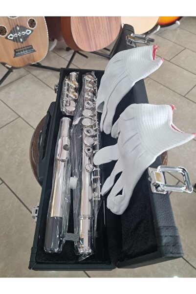 Neptün Yan flüt -gümüş kaplama (Neptün)