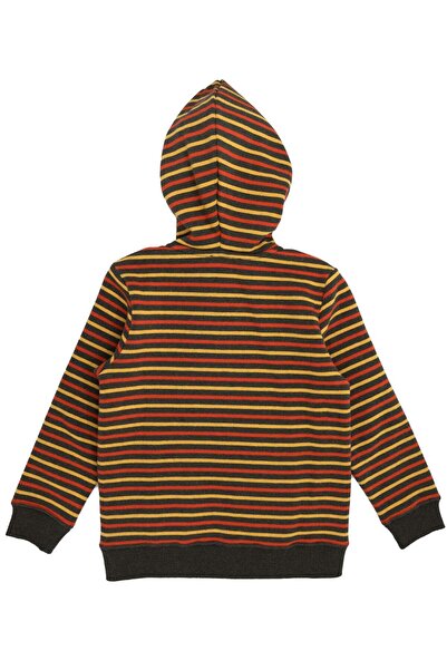 Ozmoz By Mukadder Özden Reborn Boy's Hooded Hoodie Jacket Striped