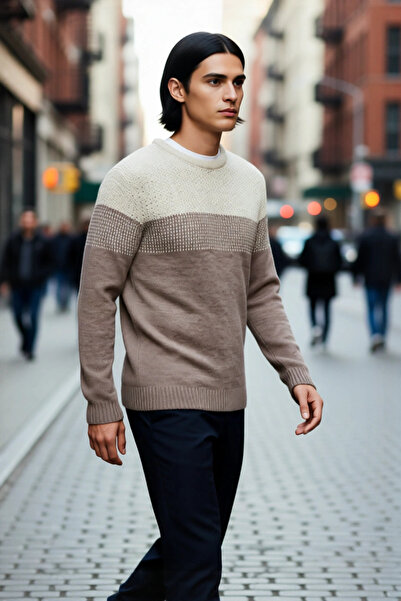 PayBuy Men's Fitted Crew Neck Long Sleeve Color Block Acrylic Knit Sweater Ideal for Everyday Chic