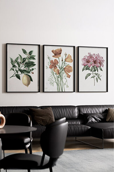 huhuli Ahşap Siyah Çerçeveli 3’lü Modern Tablo huhu278