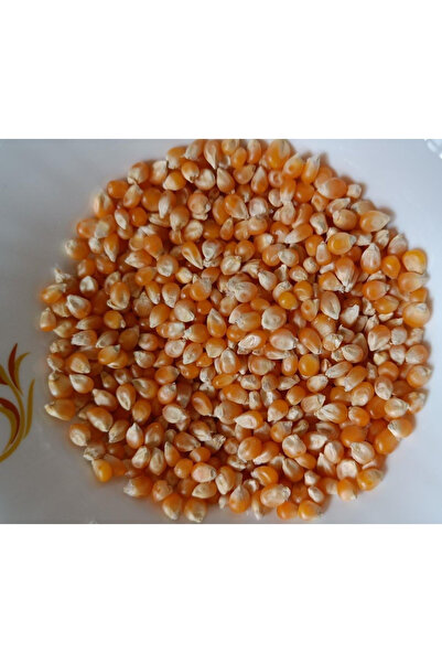 Natural Popcorn Seed 5kg (Fresh) X 6
