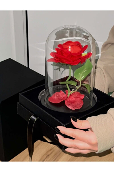 OEM TRANDAFIR ROȘU ETERNAL