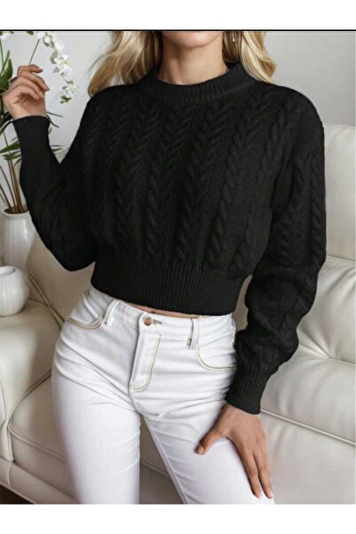 EKİN DEMİR Model de tricotat pentru păr Ara Boy guler rotund Pulover de trico...