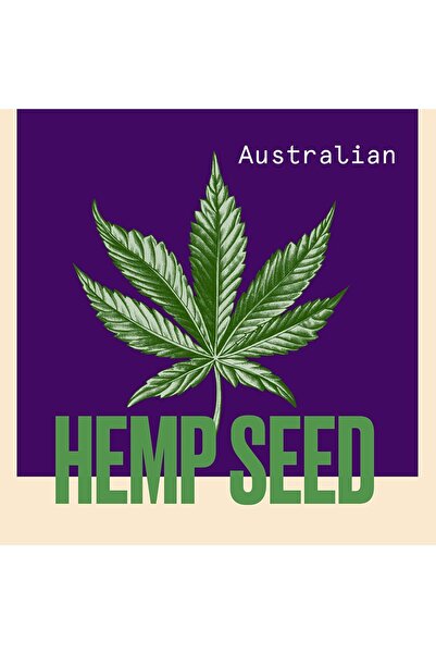 Aussie Nourish Detangling Spray 250ml For Hair Needing Nutrition