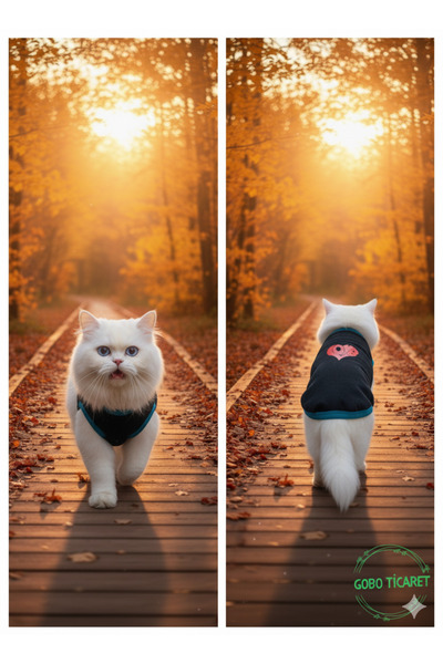 Gobo Love Patterned Winter Black Cat Dog Outfit Dress Medium/M/Size 2