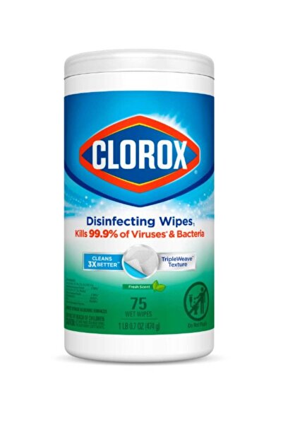 Clorox Disinfecting Multi-Surface Bleach-Free Wipes, 75 Wet Wipes