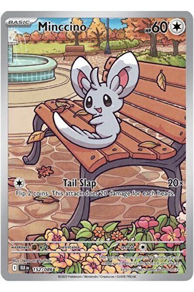Pokemon TCG Minccino - 152/086 - Sv: Black Bolt