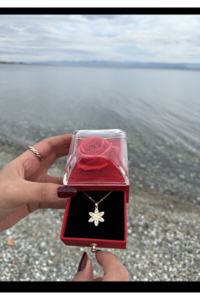 ENES MEDYA Kırmızı Gül Kutulu Kokulu Çantalı Zirkon Çiçek Kolye Set Sevgililer Günü Hediyesi 003