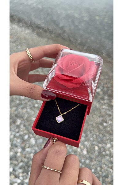 ENES MEDYA Kırmızı Gül Kutulu Kokulu Çantalı Sedefli Yonca Kolye Seti - Hediyelik 004