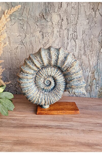 Dekoromi Dekoratif Kaideli Deniz Kabuğu Biblo 30x30cm El Boyaması Ev Dekorasyon