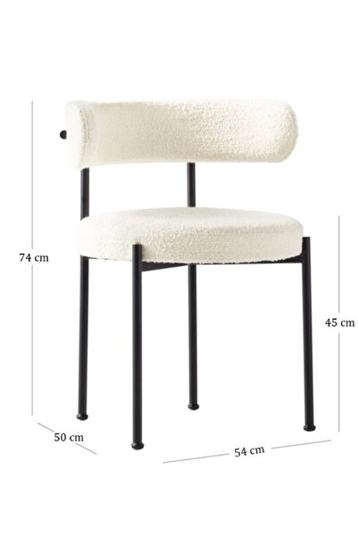 Teddyy Hardy 2 Adet Mutfak, Balkon, Salon Sandalyesi