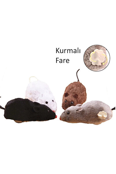 Genel Markalar Kurmalı Fare Kedi Eğitim Oyuncağı