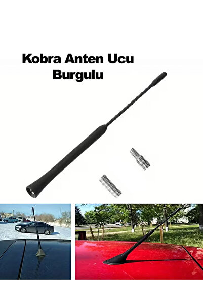 Bigohobi Otomobiller için Esnek Çatı Anten Direği, Paslanmaz, Yenilikçi Tasar...