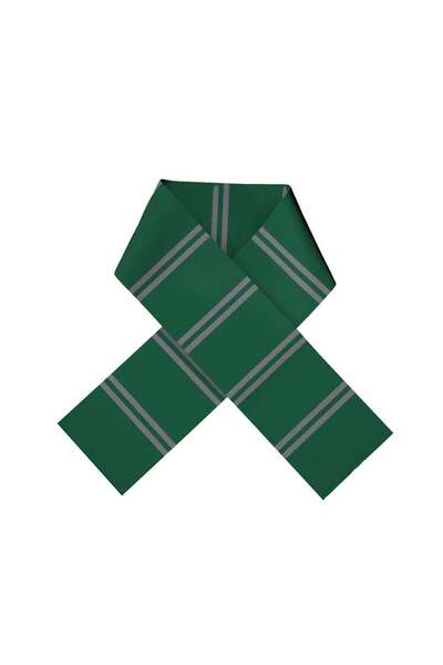 Harry Potter ХОГВАРТС СЛИЗЕРИН АТКІ