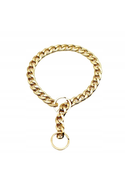 Other GOLDEN Gold-plated metal dog collar, size M